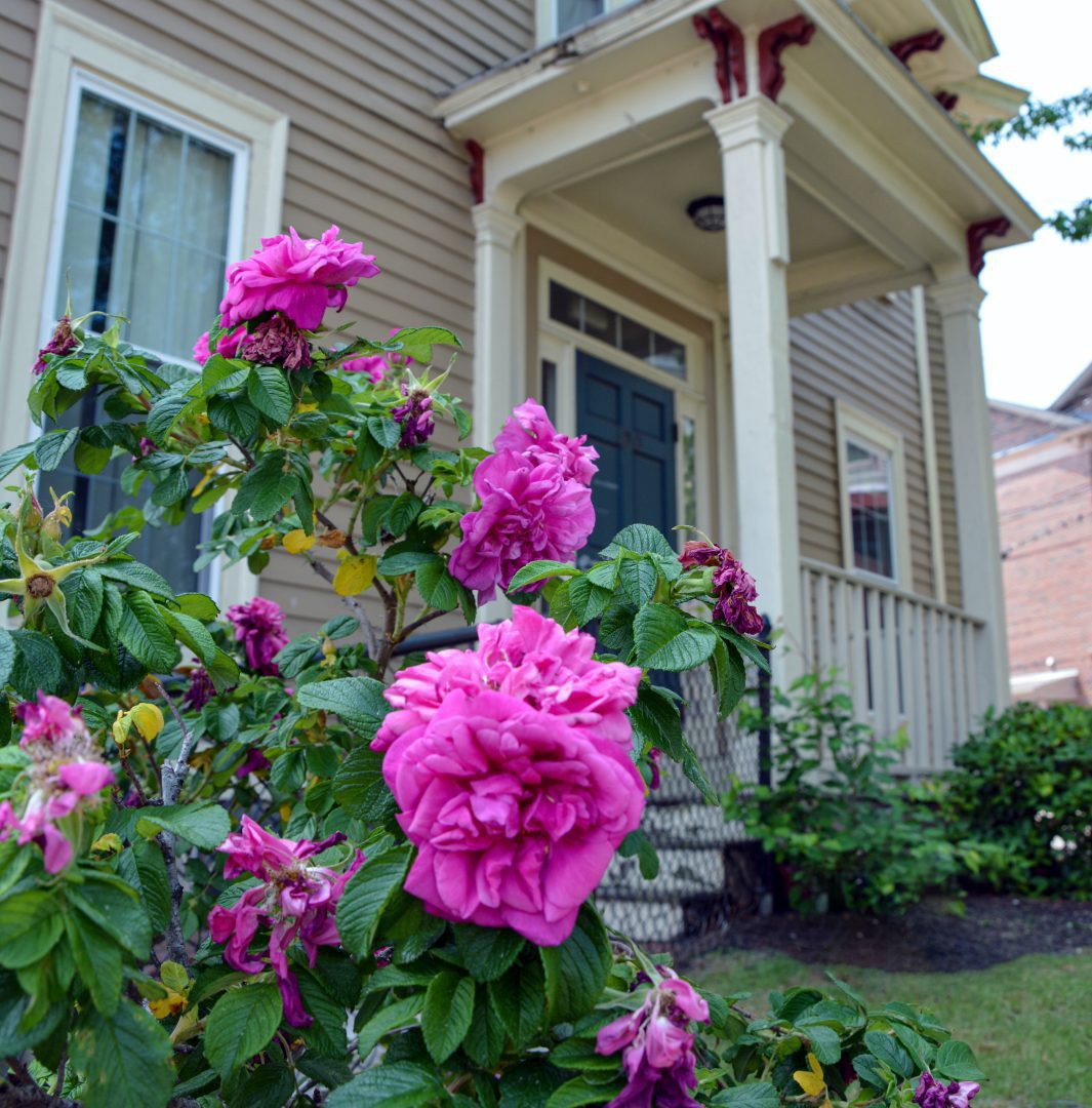 interior Our Properties banner image